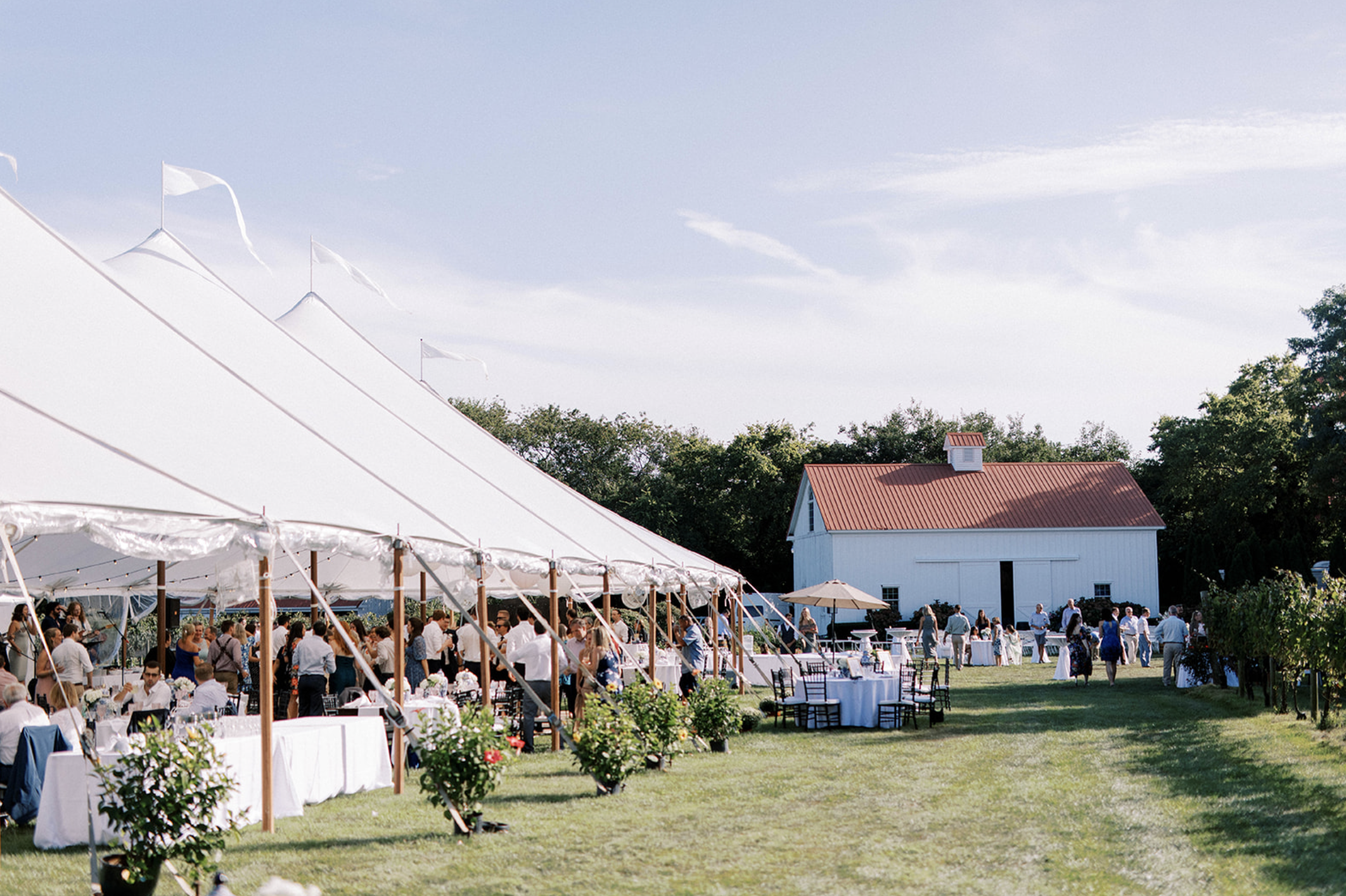 The Wedding Website of Delaney Baptiste and Quincy Abrams