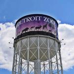 Detroit Zoo