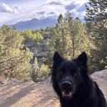 Barbara Whipple Trail (Bridge to Bridge Town Hike)