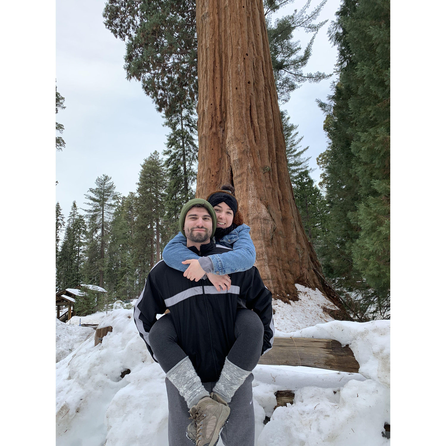 Sequoia 2019