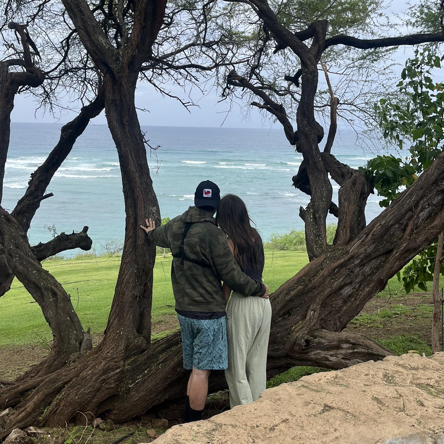 Hawaii 2026