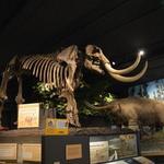 Rochester Museum & Science Center