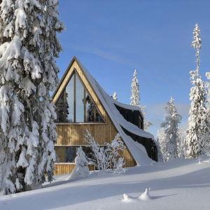 The Future Caron Chalet