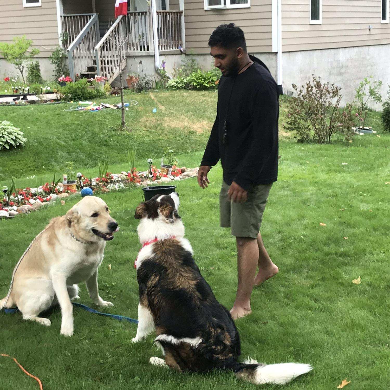 Francisco, Sengo & Eli (Mike & Aurora’s Dog)