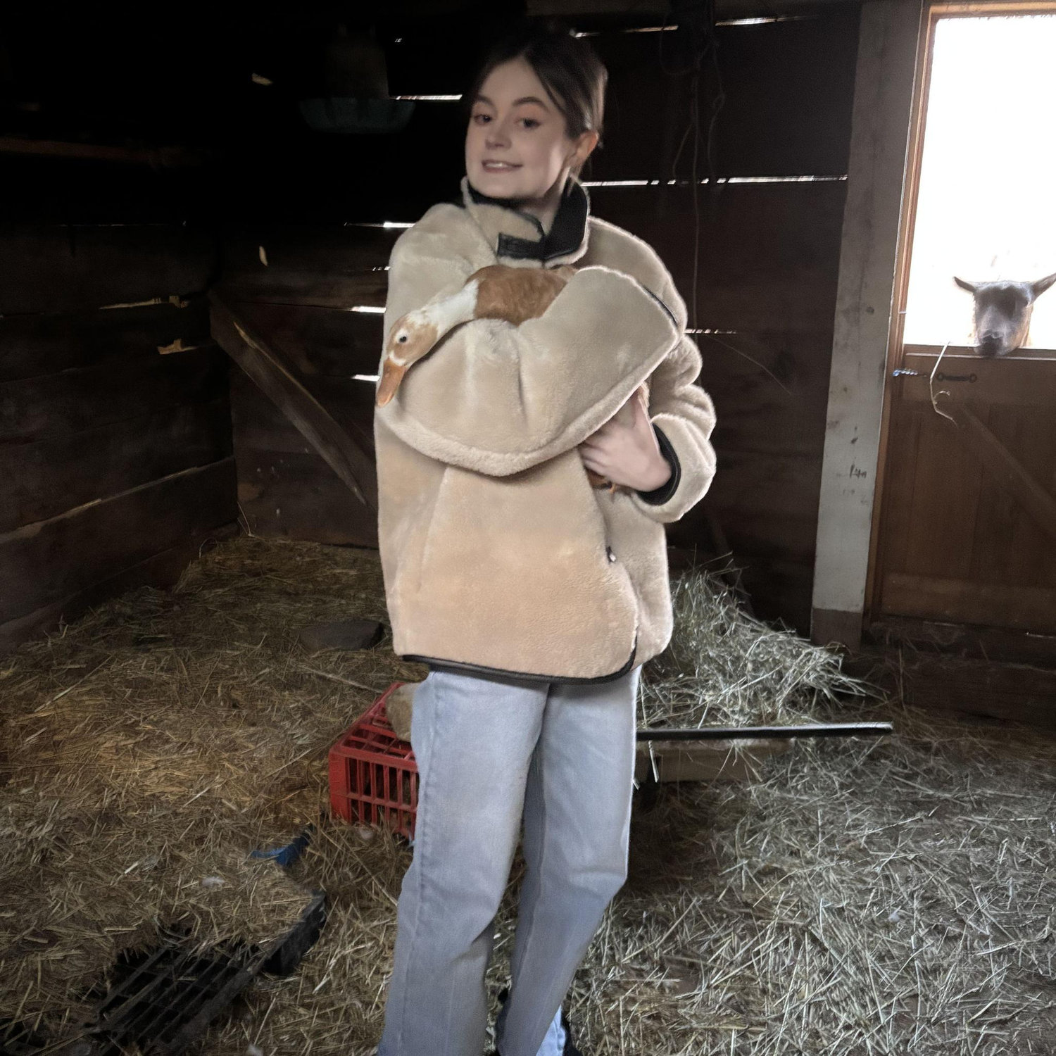Holding a duck