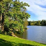 Nolte State Park