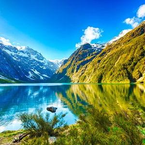 Flight Tickets for Two for Honeymoon 🇳🇿