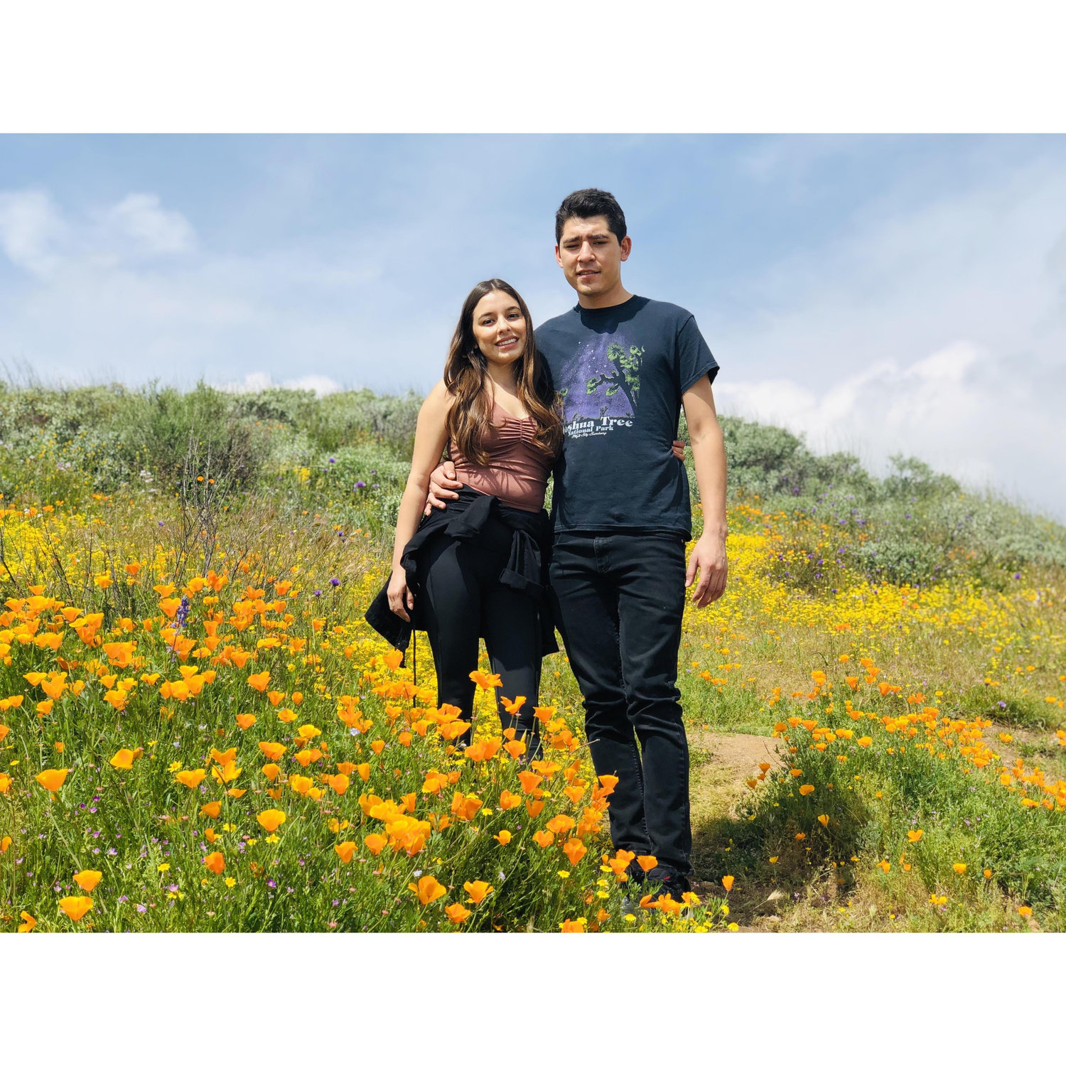 Superbloom, 2019