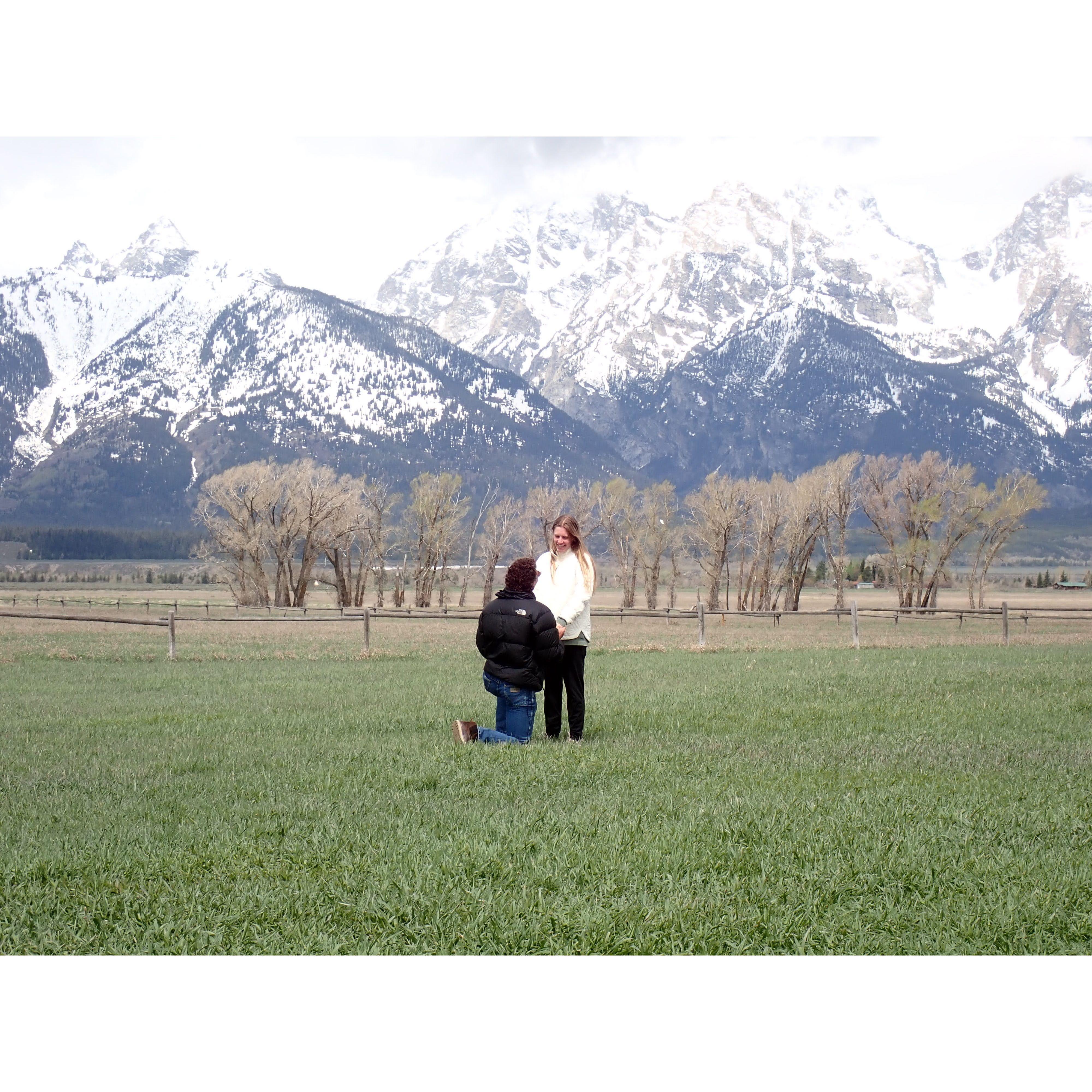 this is so beautiful are you kidding me?!!!