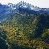 Whitefish Mountain Resort