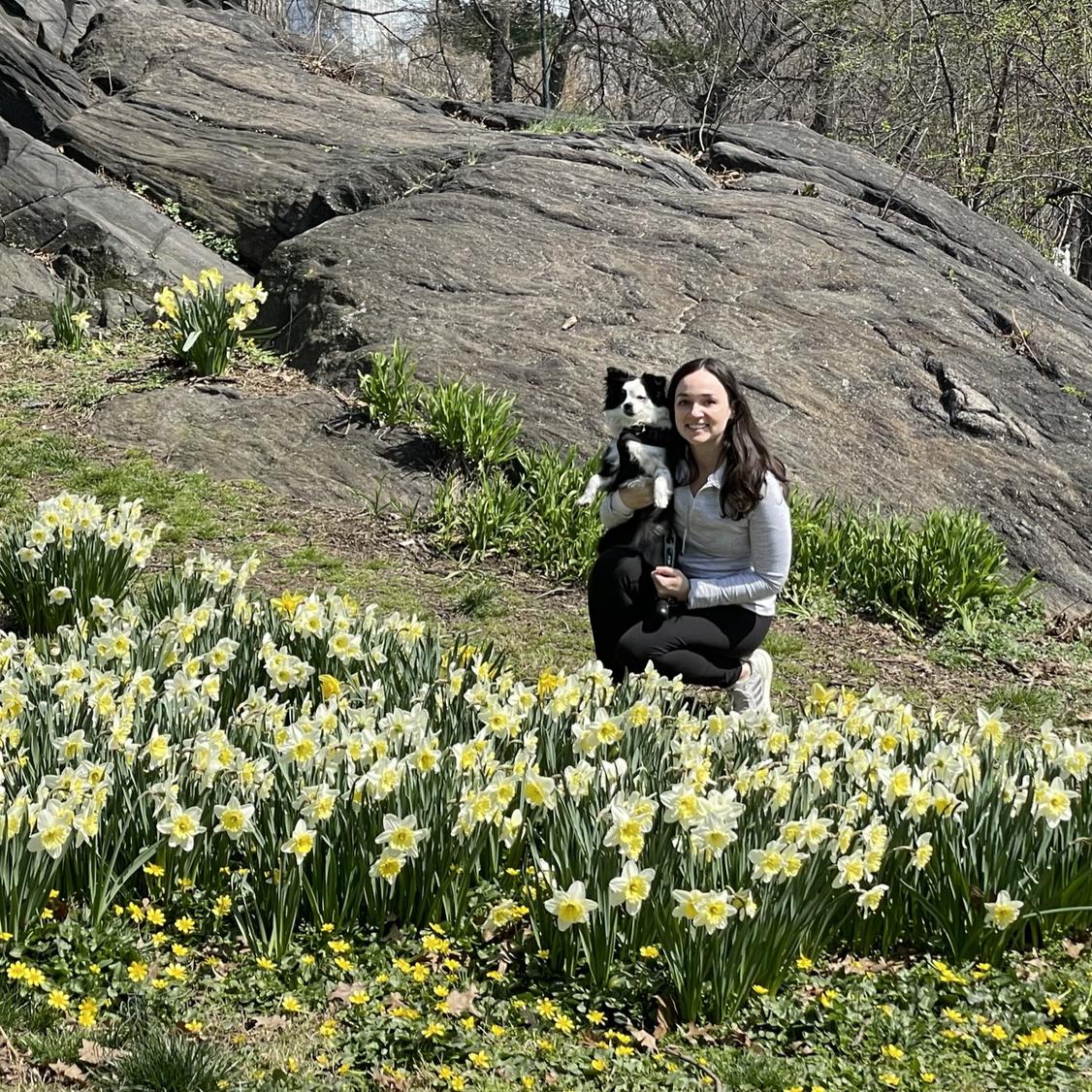 The first of many Central Park picnics