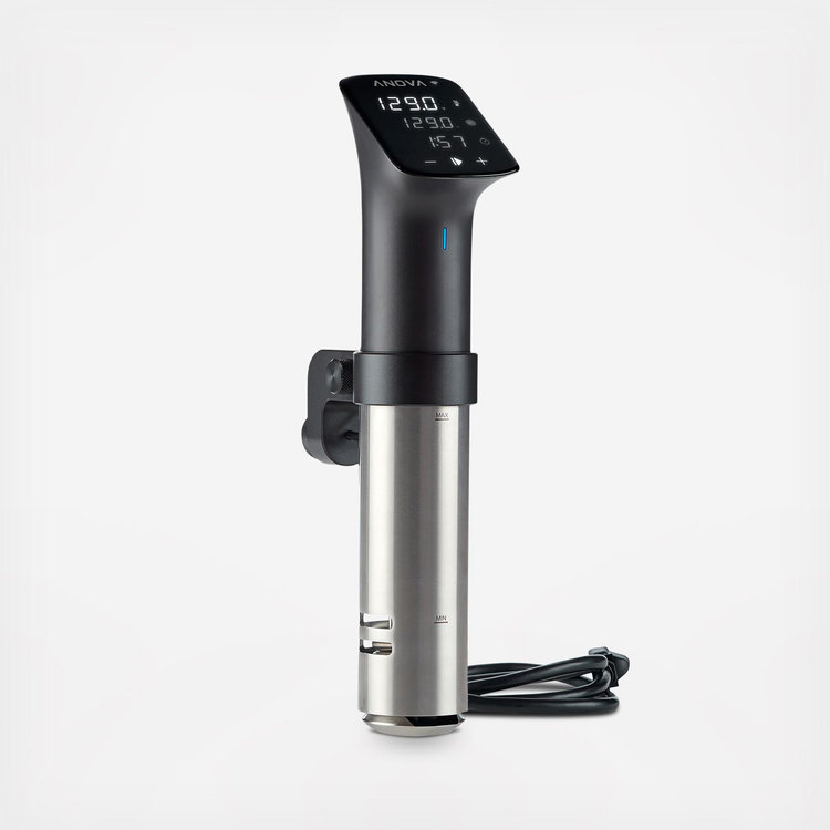 Anova Culinary, Sous Vide Precision Cooker PRO | Zola