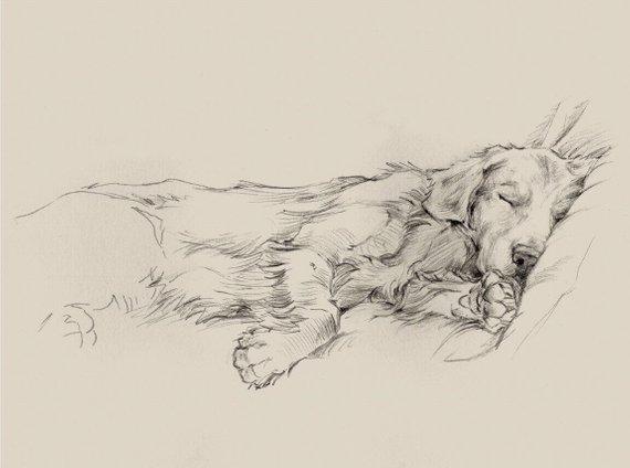 12" x 16" Framed Golden Retriever Dog Drawing