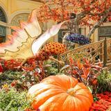 Bellagio Conservatory & Botanical Gardens