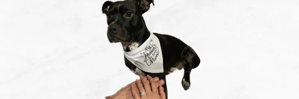 The Wedding Website of Amelia Faso Miranda and Jeff Bratu