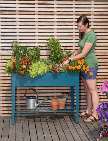 Elevated Raised Garden Bed