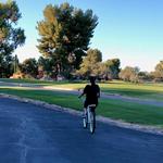 Cruiser Bike Rides