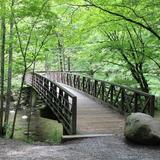 Hike the Gatlinburg Trail