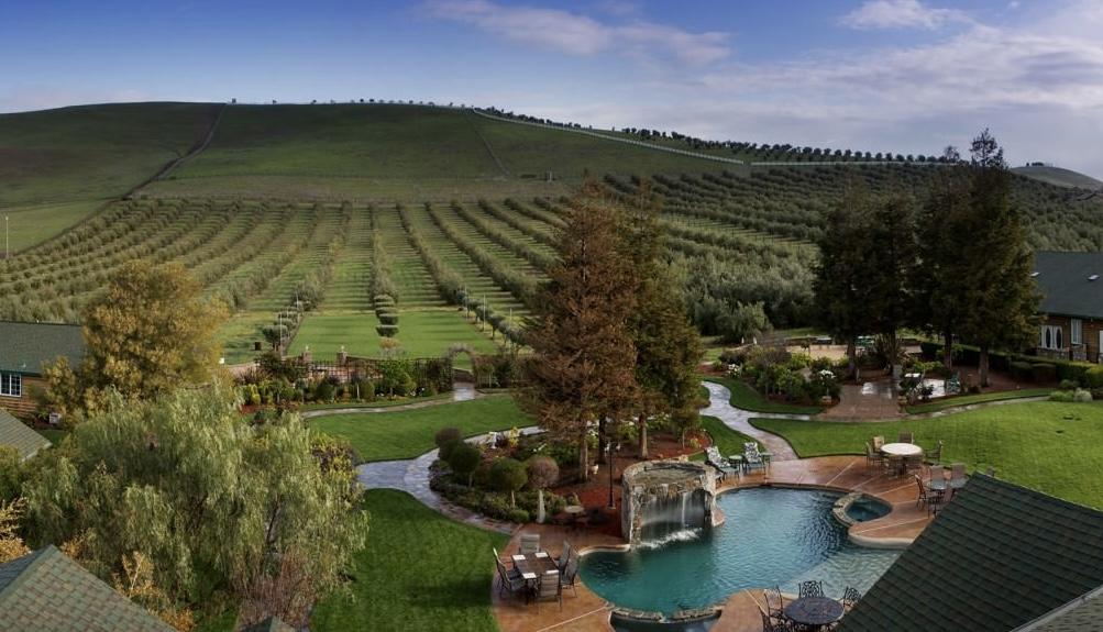 The Wedding Website of Nandini Mukherjee and Collin Murphy