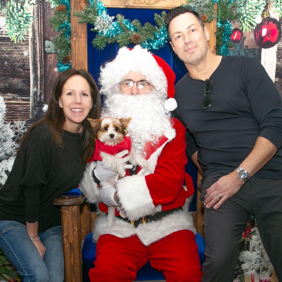 Best Christmas with our new pup, Theo!