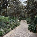 Botanic