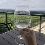 Ponzi Vineyards