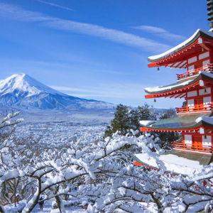 Mt. Fuji Day Trip