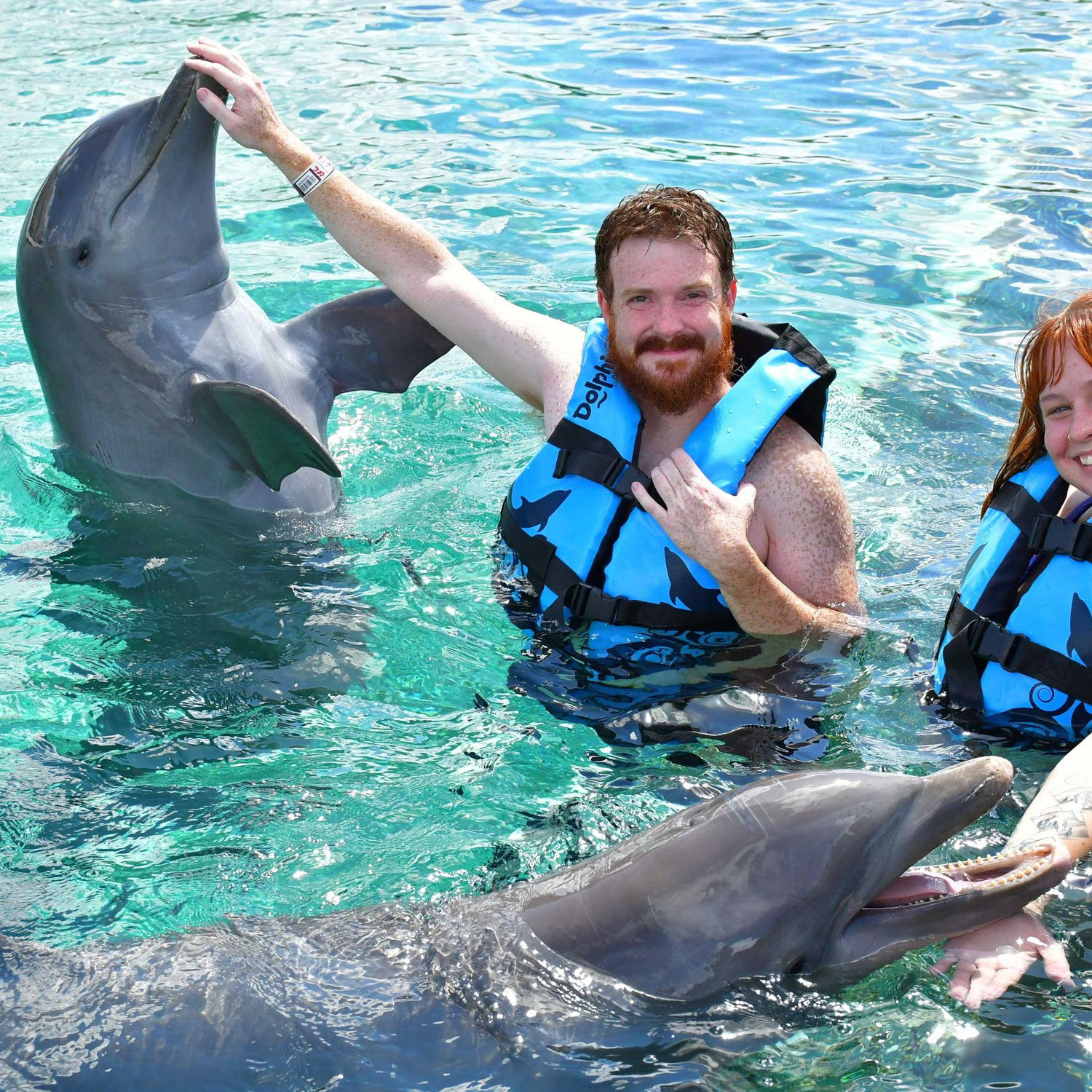 DOLPHINS!!!