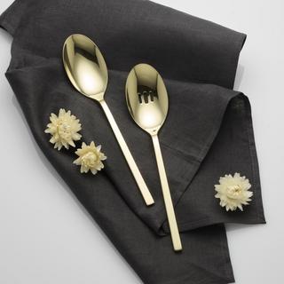 Allay Serving Spoon, Set of 2
