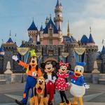 Walt Disney World® Resort