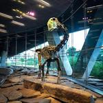 Perot Museum of Nature and Science
