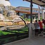 Go Fish Education Center
