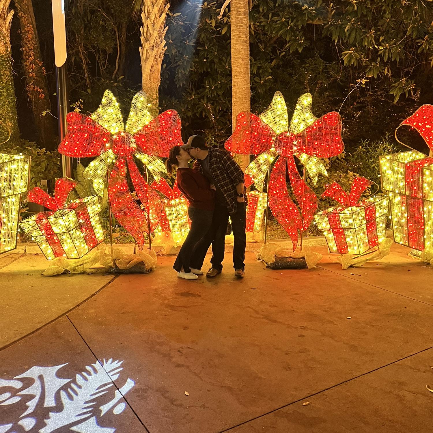 Houston Zoo Lights