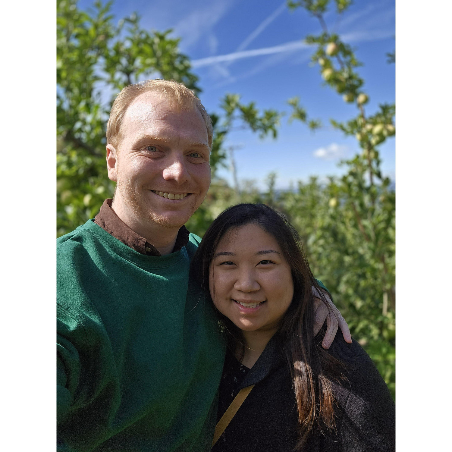 Apple picking at Cater Mountain Orchard after getting engaged