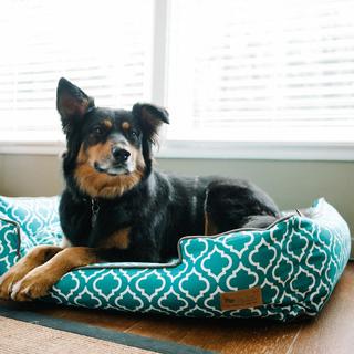 Moroccan Lounge Pet Bed