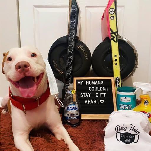 Like we said, it all started with the onewheel =]