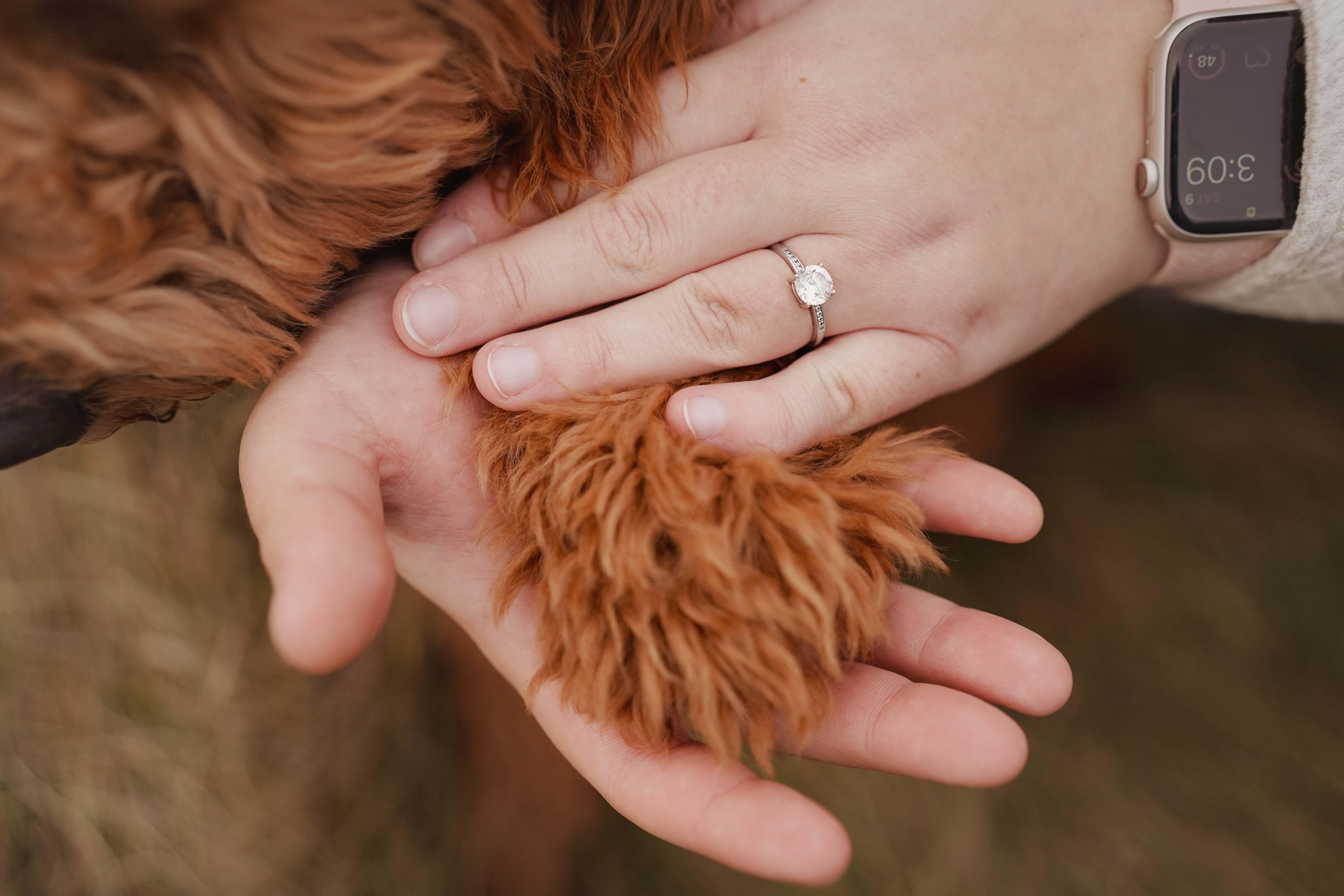 The Wedding Website of Markelle Chrisman and Tristan Lambert
