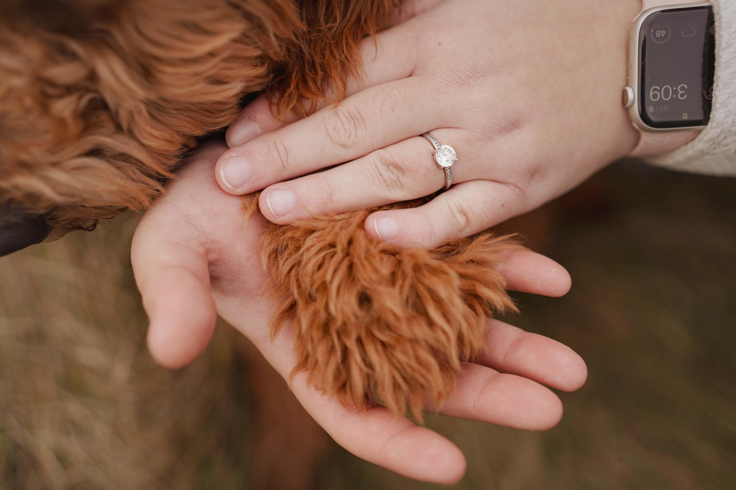 The Wedding Website of Markelle Chrisman and Tristan Lambert