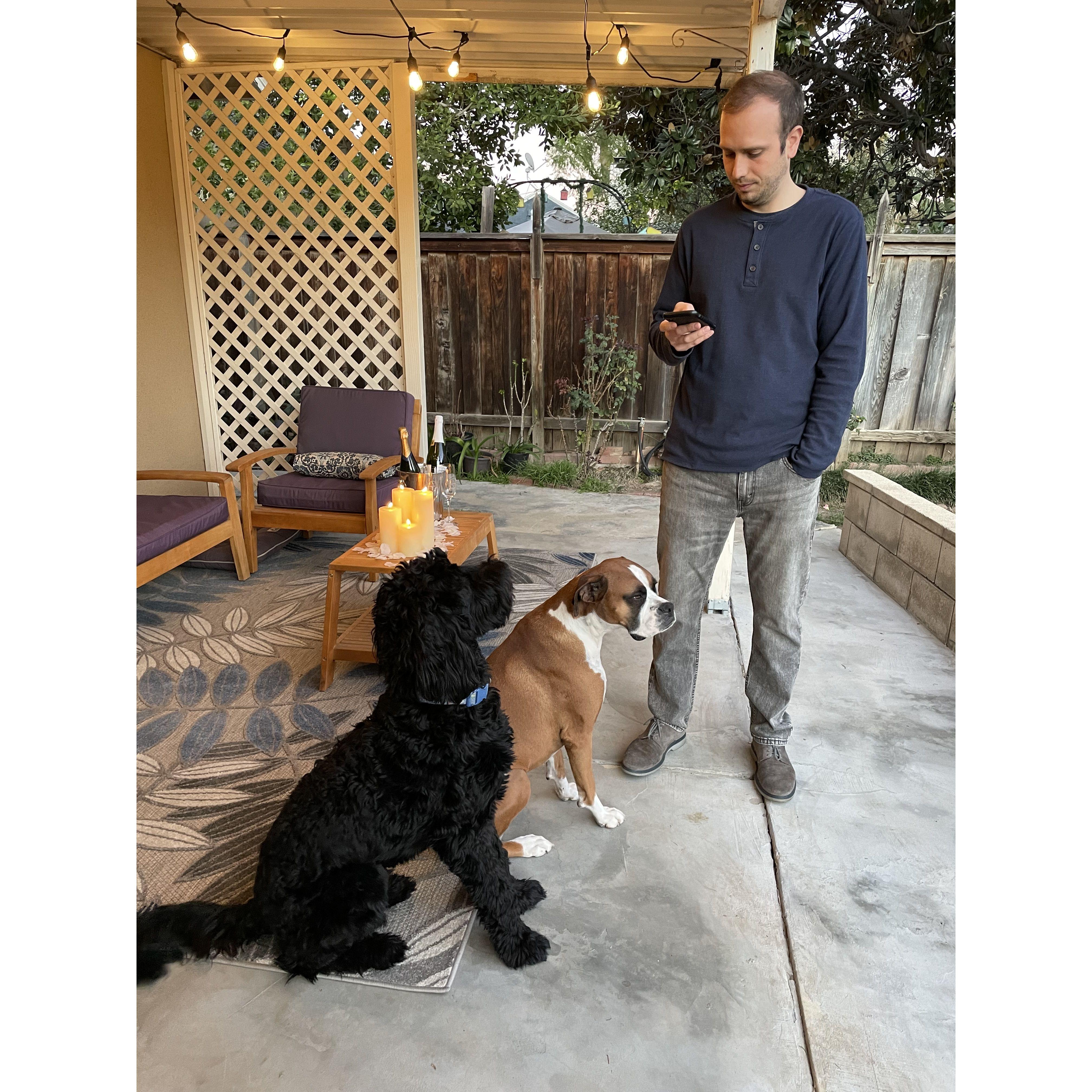 The dogs giving Josh a pep talk pre-proposal
