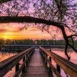 Tifft Nature Preserve