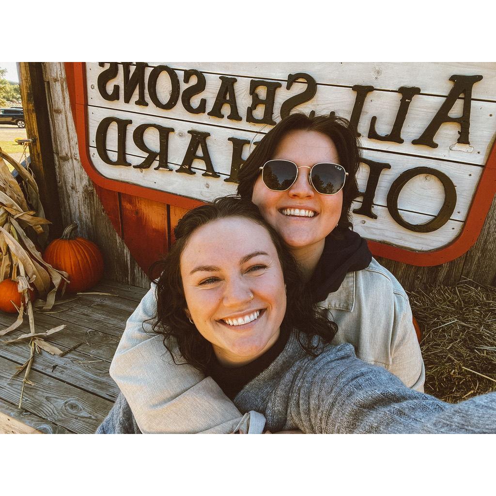 Our favorite apple orchard near Chicago