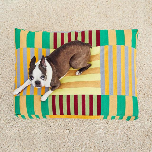 Dog Bed for Herschel