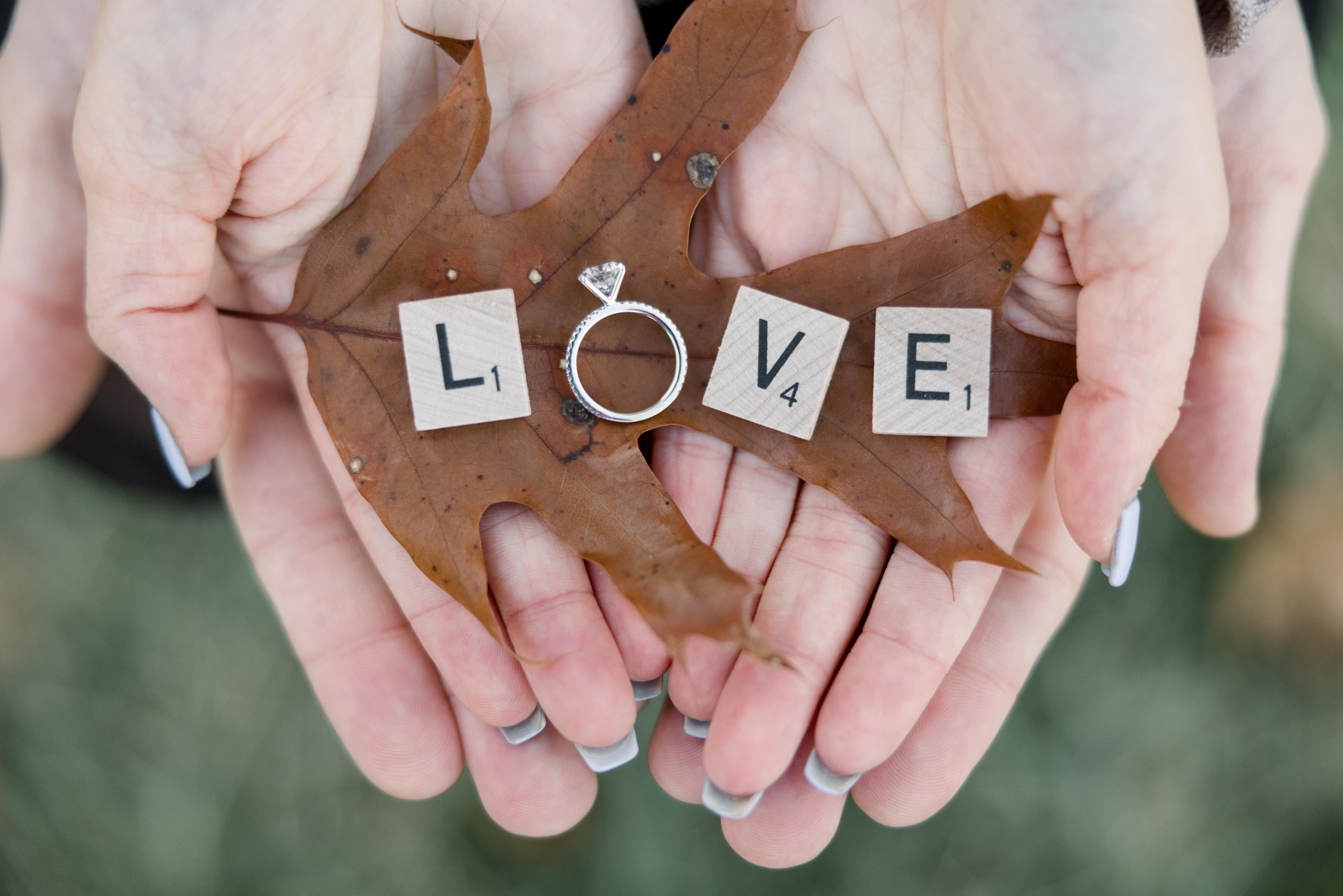 The Wedding Website of Sarina Keene and Scott Margiotta