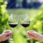 Charlottesville Wineries