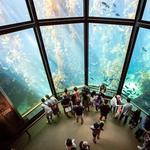 Monterey Bay Aquarium