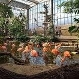 National Aviary