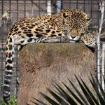 Sacramento Zoo
