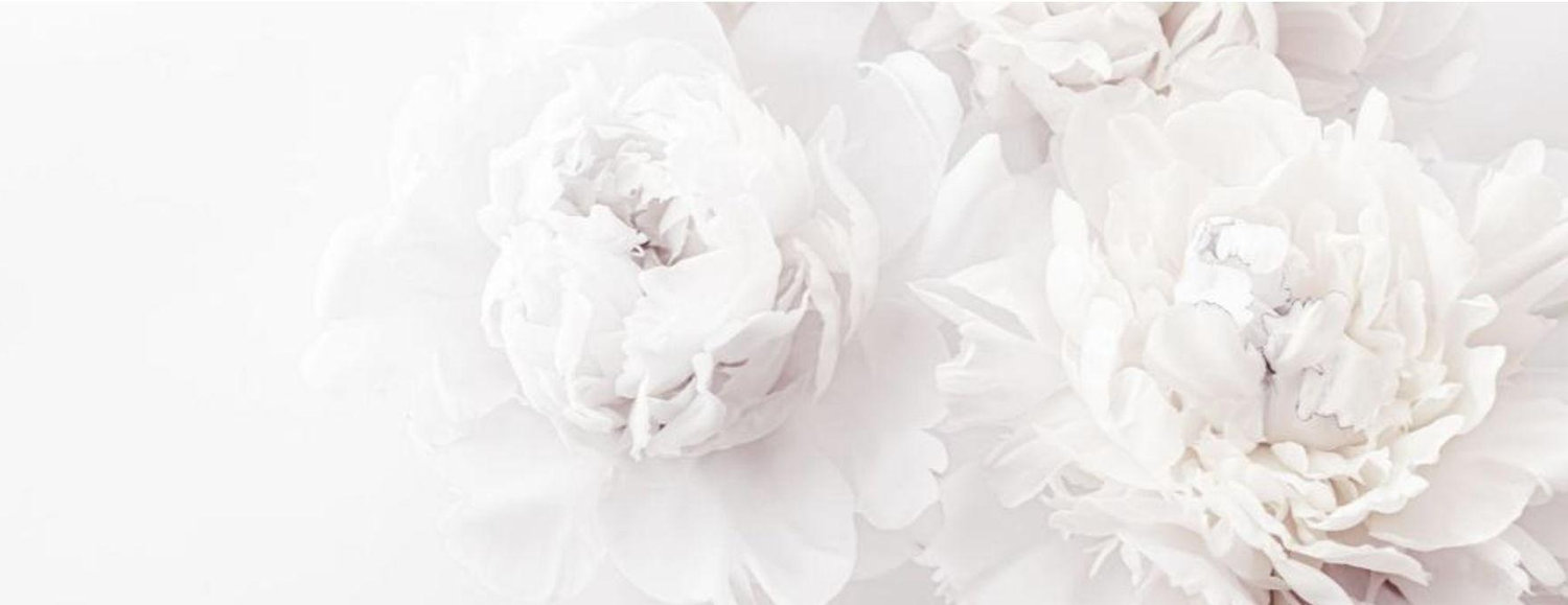 The Wedding Website of Matthijs Van 't Klooster and Renee Vriends