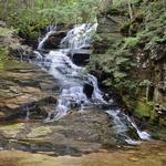 White Mountain National Forest