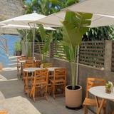 Miscelanea Cafe